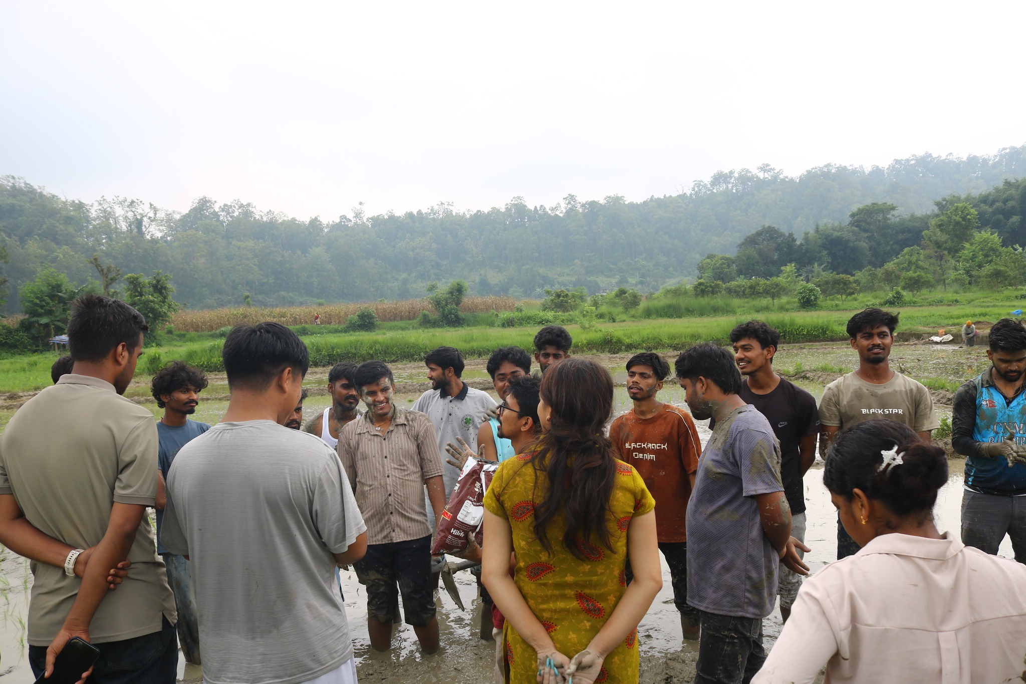 Training and workshop